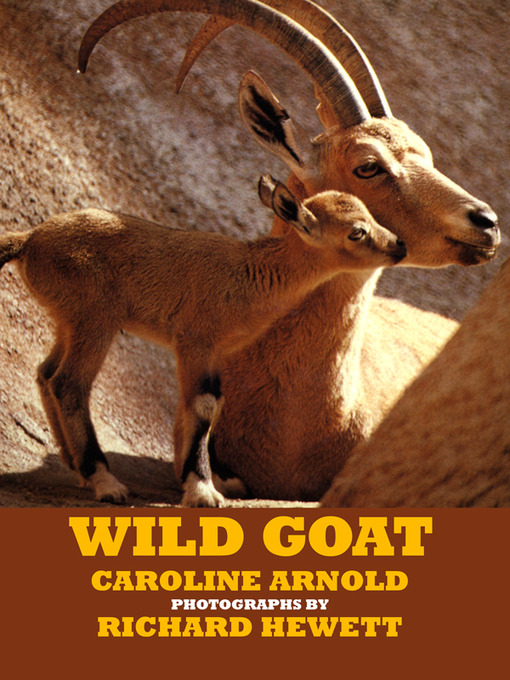 Title details for Wild Goat by Caroline Arnold - Available